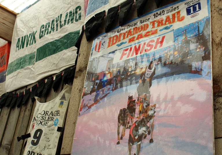 IDITAROD_3